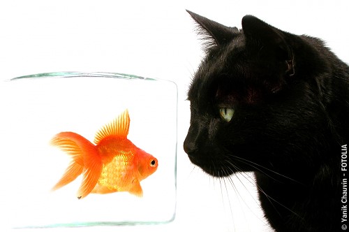 Einigung :::: einigung.de ::::